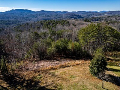 Lot 13 High Meadow Trail Morganton, GA 30560 - Photo 2 of 9
