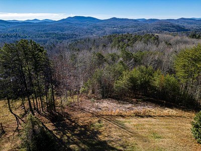 Lot 13 High Meadow Trail Morganton, GA 30560 - Photo 3 of 9