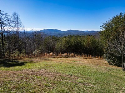 Lot 13 High Meadow Trail Morganton, GA 30560 - Photo 9 of 9