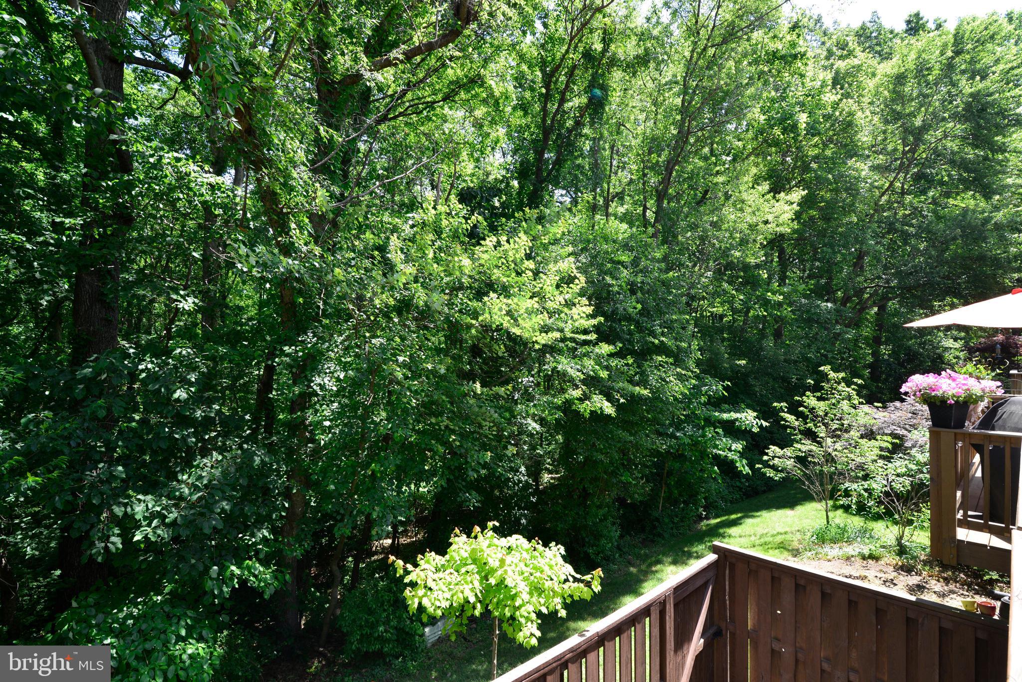 11539 Pine Cone Court Reston, VA 20191 - Photo 15 of 36 Deck View