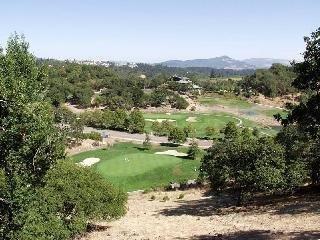 3764 Skyfarm Drive Santa Rosa, CA 95403 - Photo 6 of 6 a view of a lush green outdoor space with a lake view