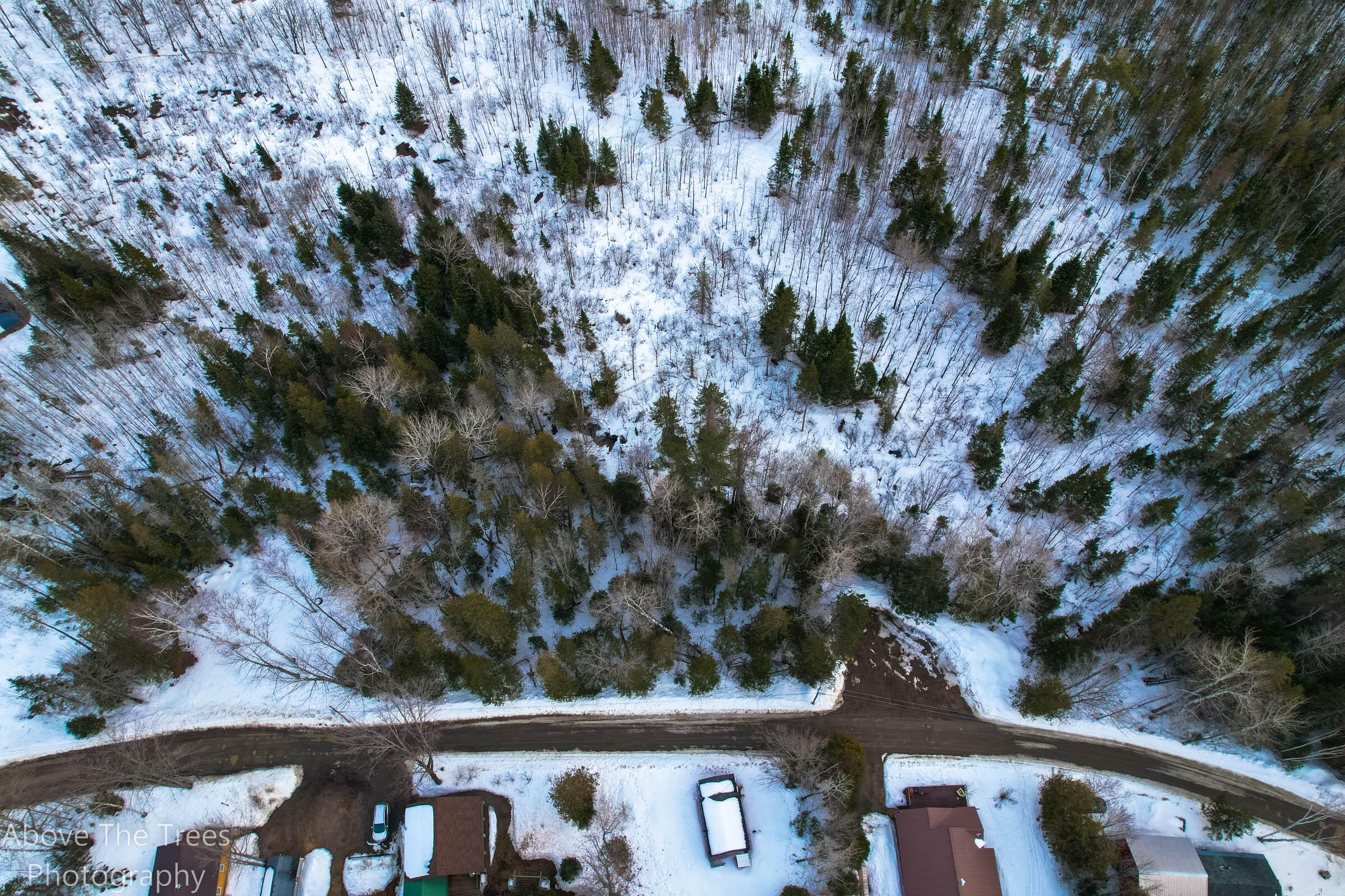 Tbd Old Dead River Road Stratton, ME 04982 - Photo 5 of 10 SmallEustis3