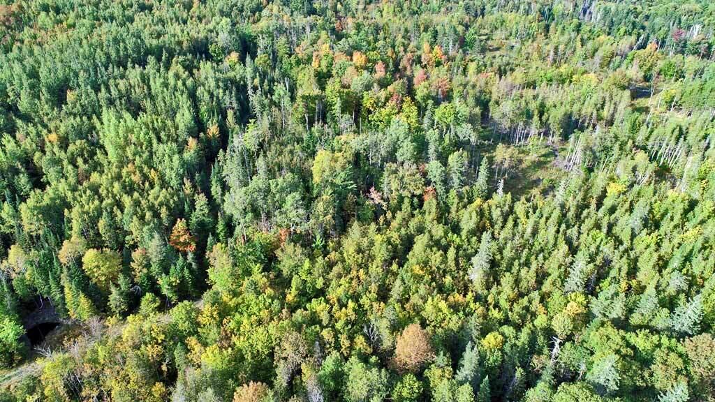 1719 Ludlow Road Houlton, ME 04730 - Photo 11 of 47 land-maine-aerial-drone