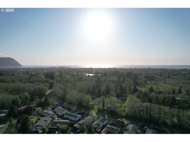 a view of a city with lush green forest