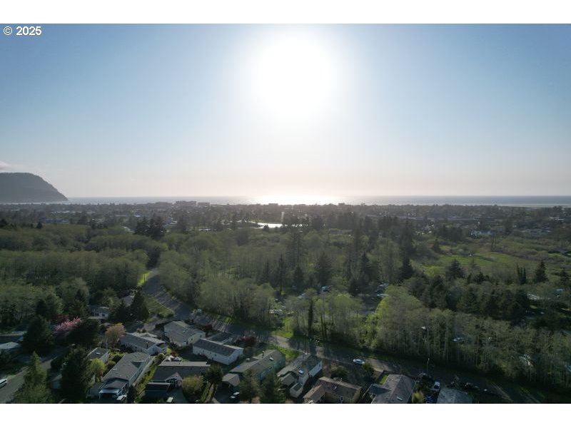 481 Hillside Loop Seaside, OR 97138 - Photo 8 of 47 a view of a city with lush green forest