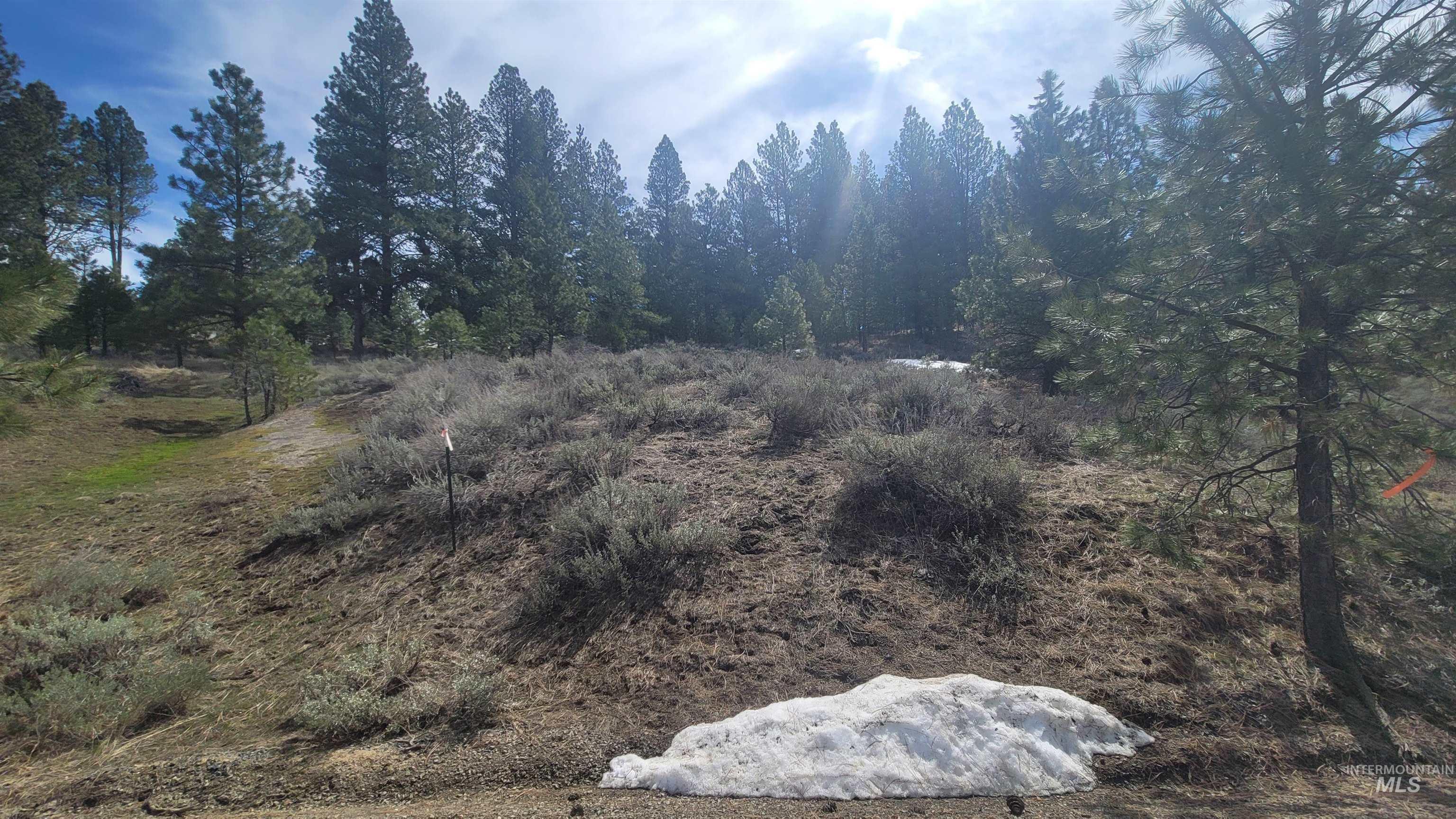 1483 Pine Lakes Ranch Drive Cascade, ID 83611 - Photo 11 of 16