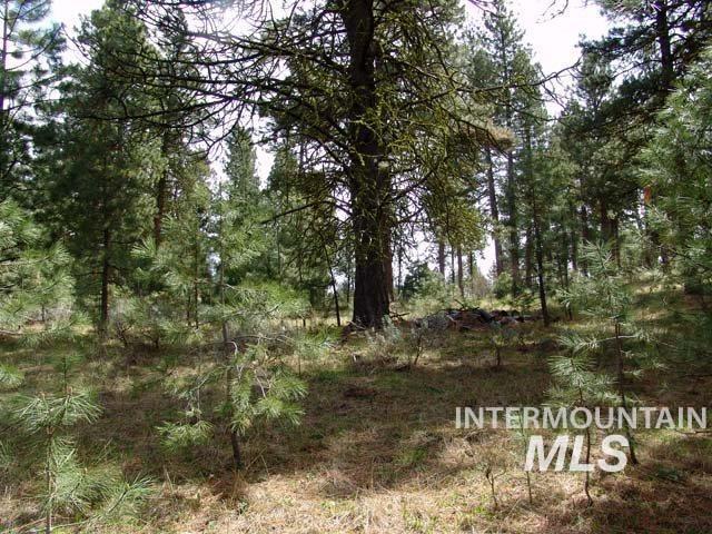 1483 Pine Lakes Ranch Drive Cascade, ID 83611 - Photo 2 of 16
