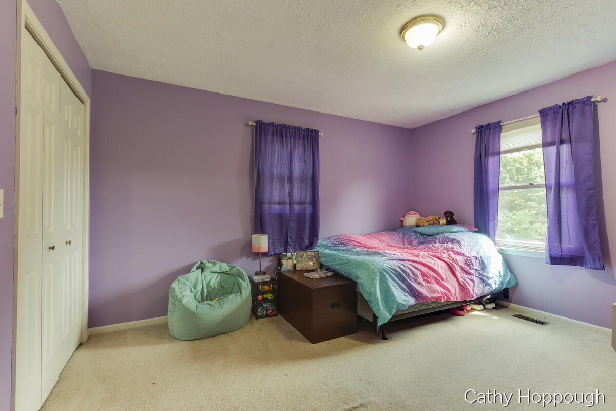 8152 Murphy Road Lyons, MI 48851 - Photo 24 of 70 8152_Murphy_CATHY-59