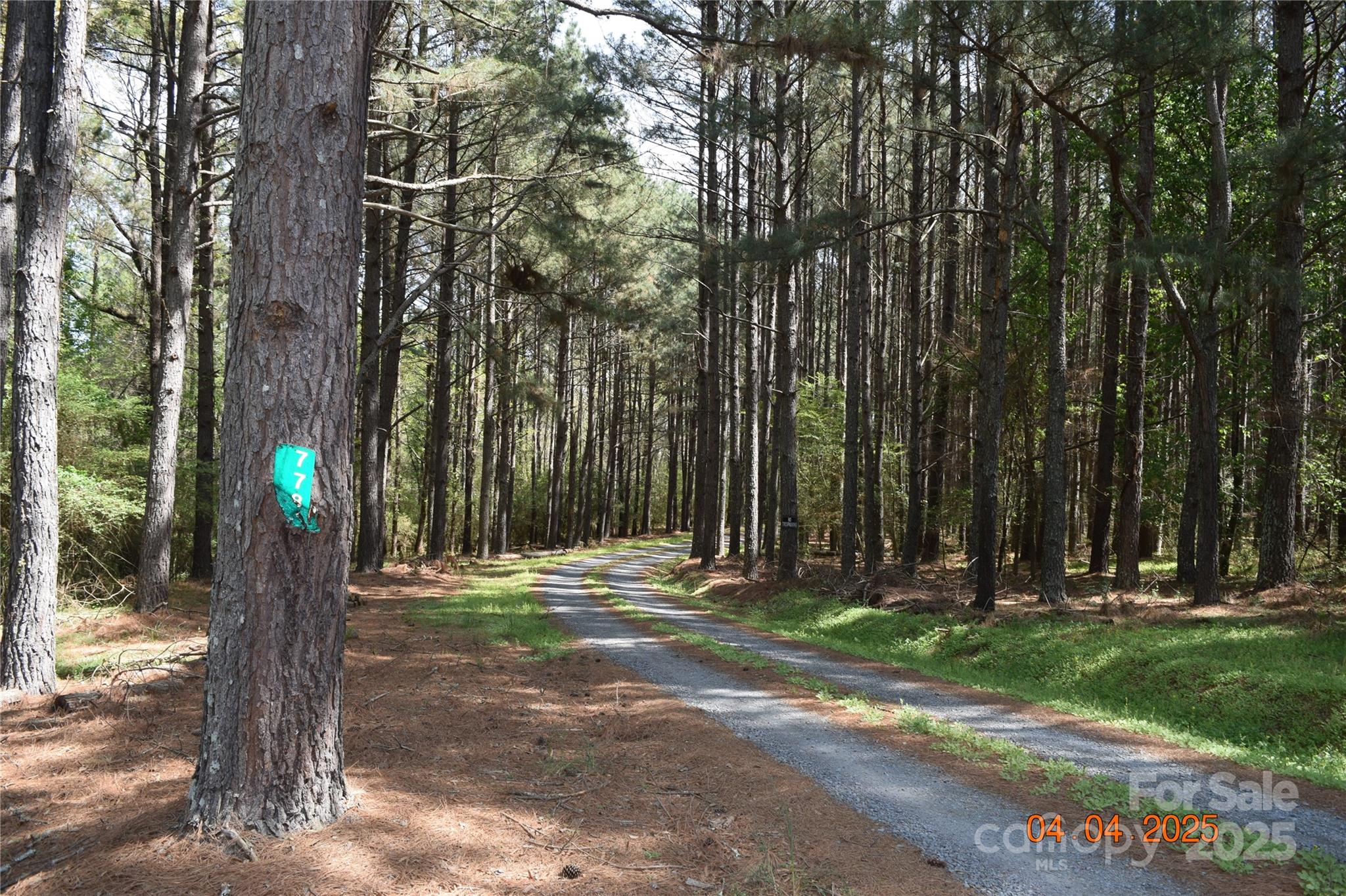 7780 Stokes Ferry Road Salisbury, NC 28146 - Photo 5 of 44 Gallery Image 5