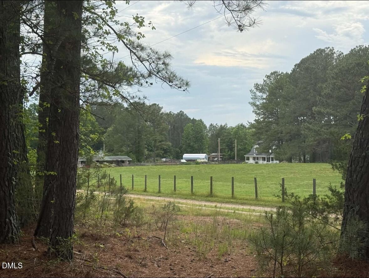 344 J B Leonard Road Castalia, NC 27816 - Photo 23 of 32 a view of a green field with trees in the background