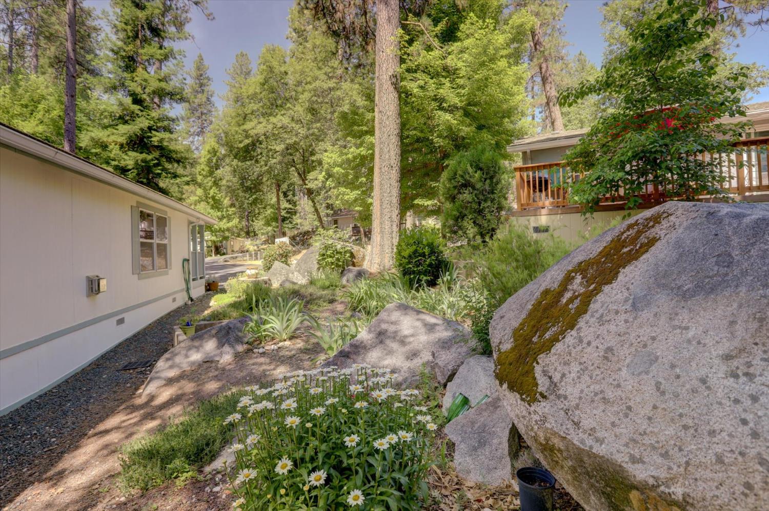 251 Willow Valley Road, Unit 17 Nevada City, CA 95959 - Photo 36 of 58 a view of a backyard with plants