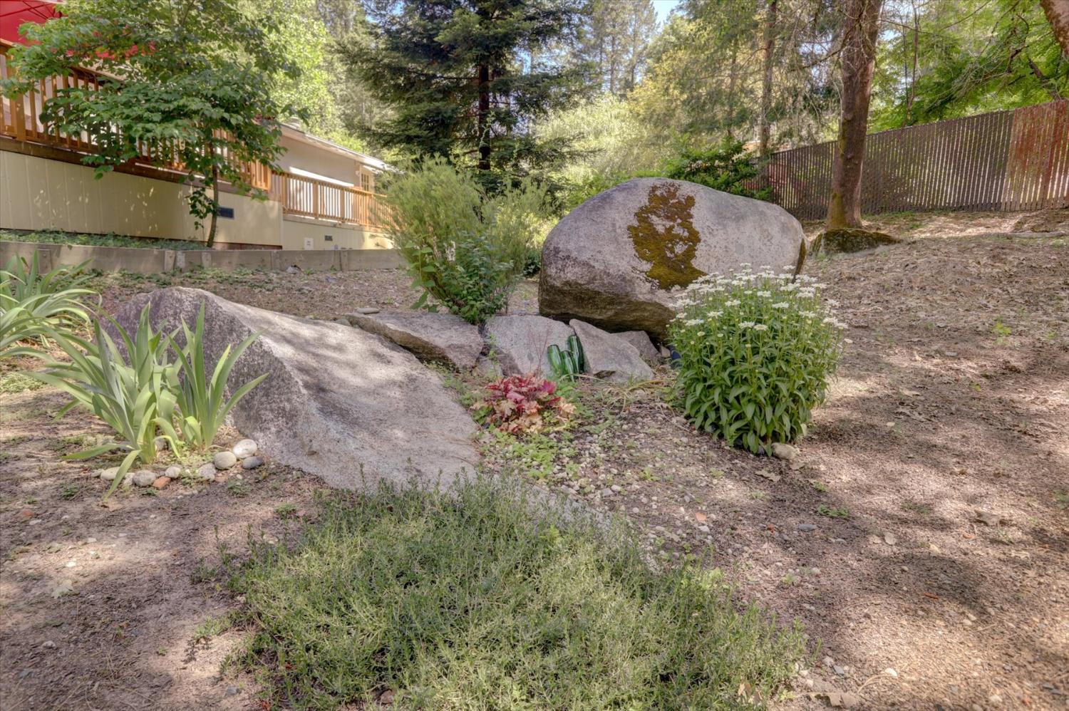 251 Willow Valley Road, Unit 17 Nevada City, CA 95959 - Photo 37 of 58 a view of a backyard with plants and large trees
