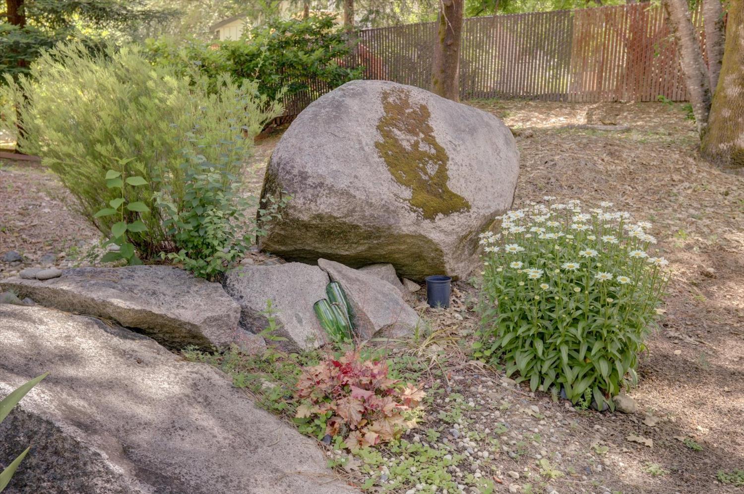 251 Willow Valley Road, Unit 17 Nevada City, CA 95959 - Photo 38 of 58 a view of a backyard with large trees