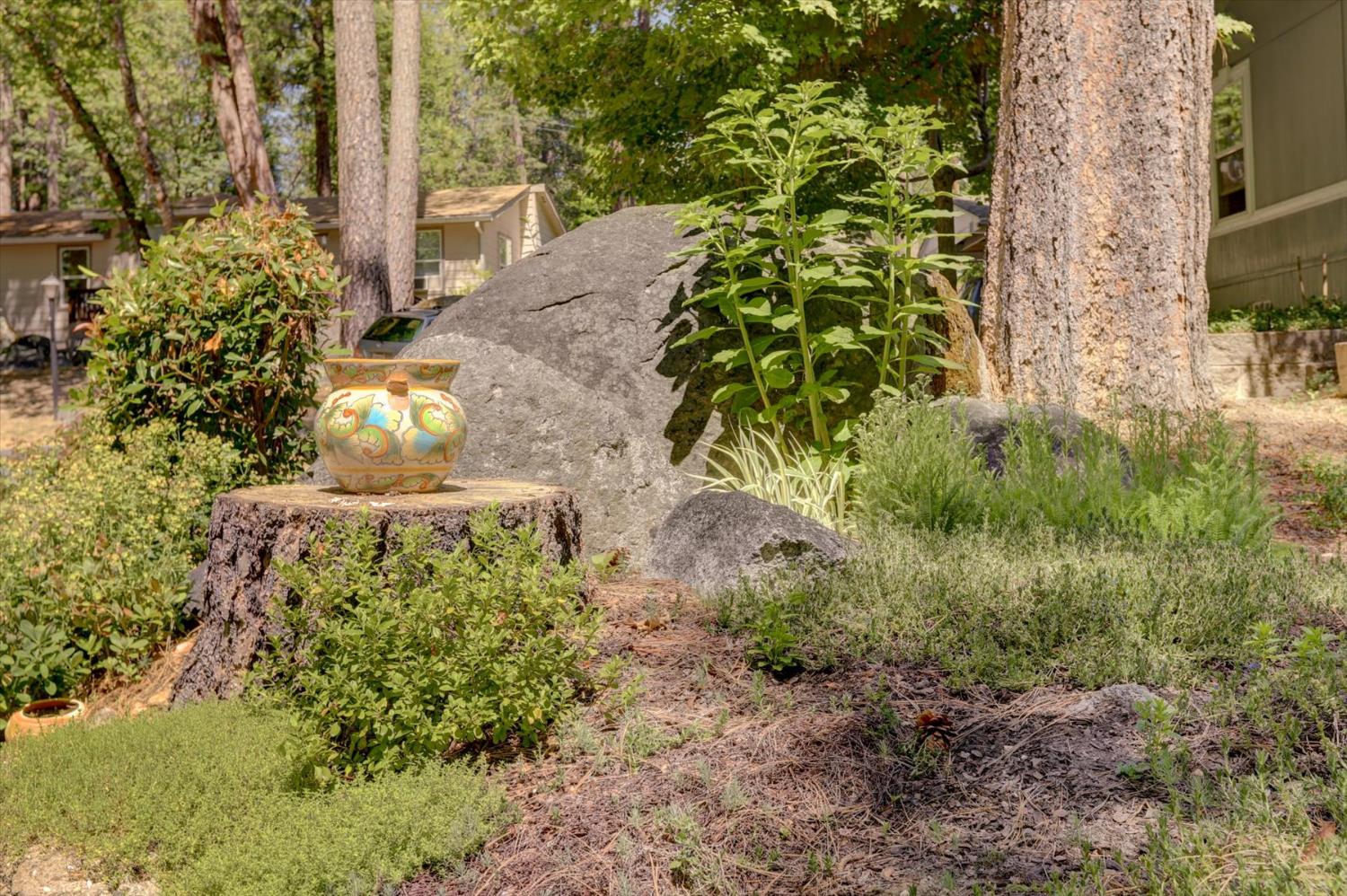 251 Willow Valley Road, Unit 17 Nevada City, CA 95959 - Photo 41 of 58 a view of a garden with plants