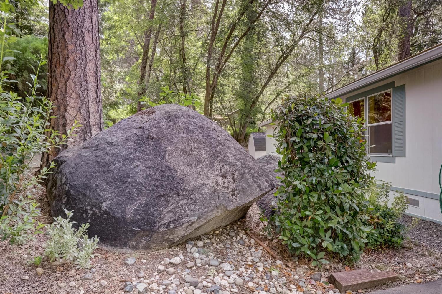 251 Willow Valley Road, Unit 17 Nevada City, CA 95959 - Photo 48 of 58 a view of a plants with large trees