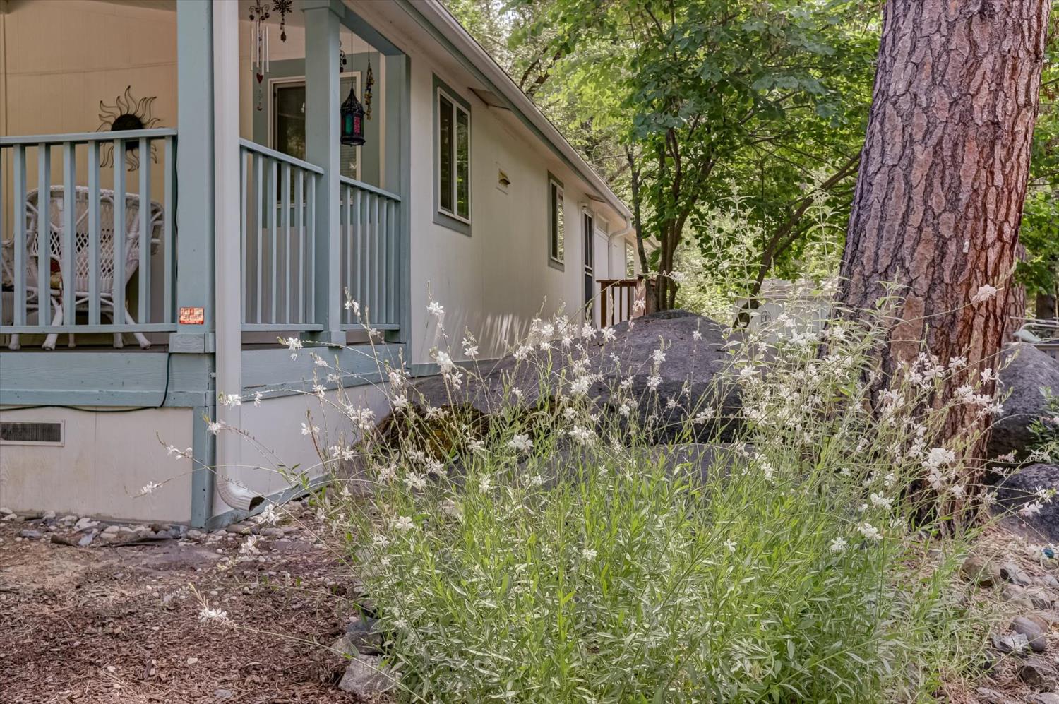 251 Willow Valley Road, Unit 17 Nevada City, CA 95959 - Photo 53 of 58 a backyard of a house with lots of green space