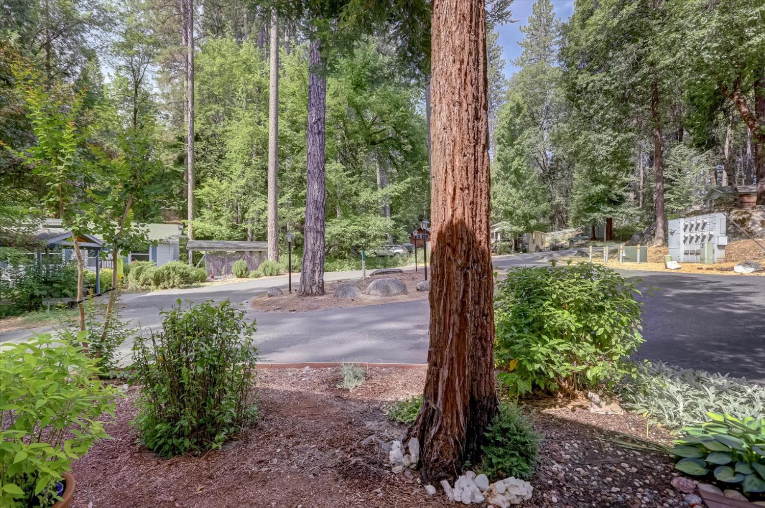251 Willow Valley Road, Unit 17 Nevada City, CA 95959 - Photo 54 of 58 a view of a park with large trees