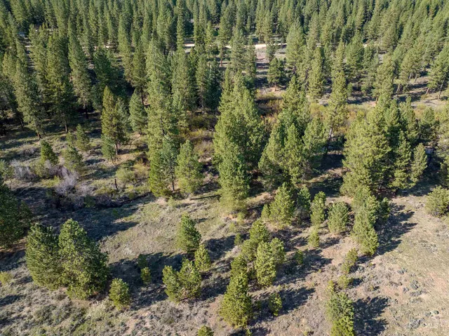 $175,000 | Lot 27 Trail Creek Court, Idaho City, ID 83631