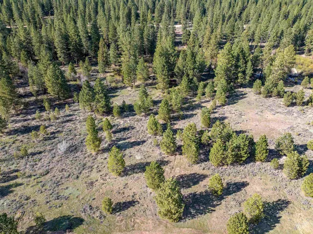 $175,000 | Lot 27 Trail Creek Court, Idaho City, ID 83631