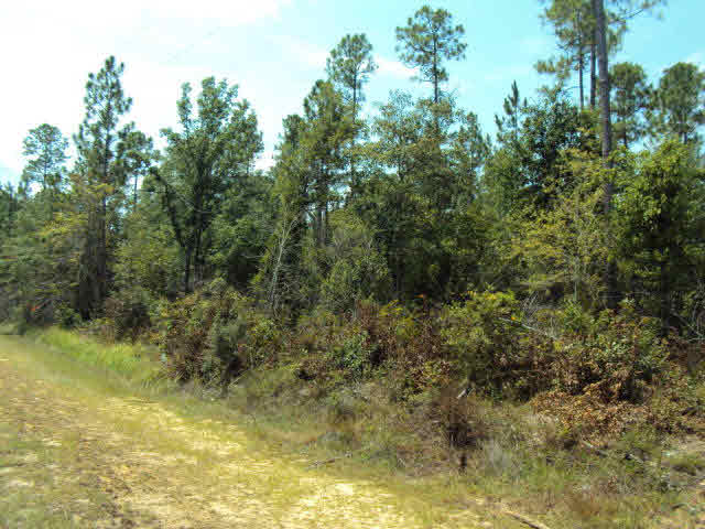 4 Old Ganey Road Bay Minette, AL 36507 - Photo 1 of 1