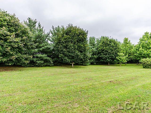 7801 Clinton Macon Road Clinton, MI 49236 - Photo 12 of 38 31252695-11.JPG