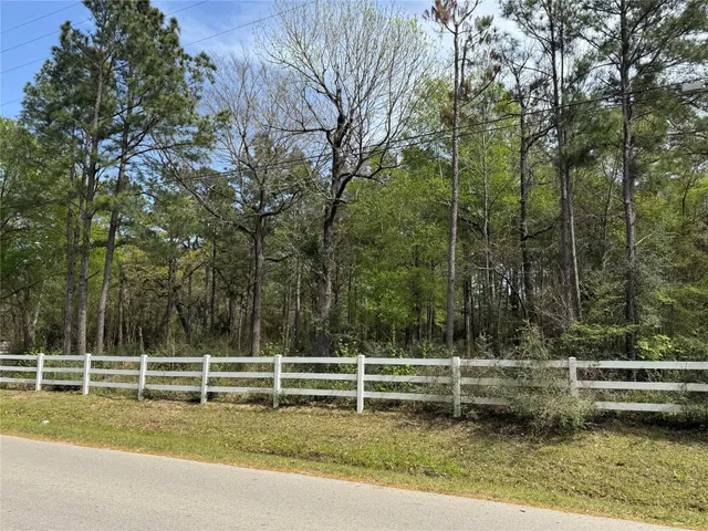 a view of backyard with green space