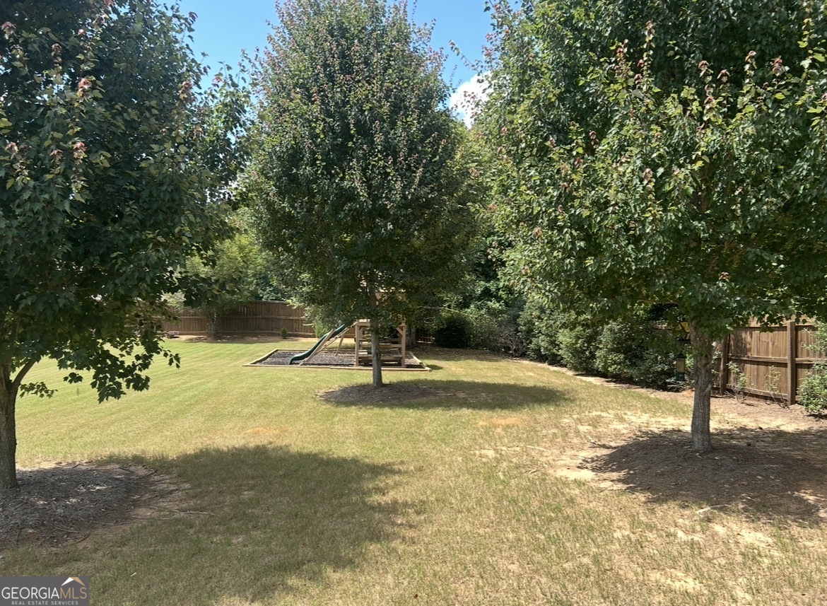 246 Thyme Leaf Way Locust Grove, GA 30248 - Photo 10 of 71