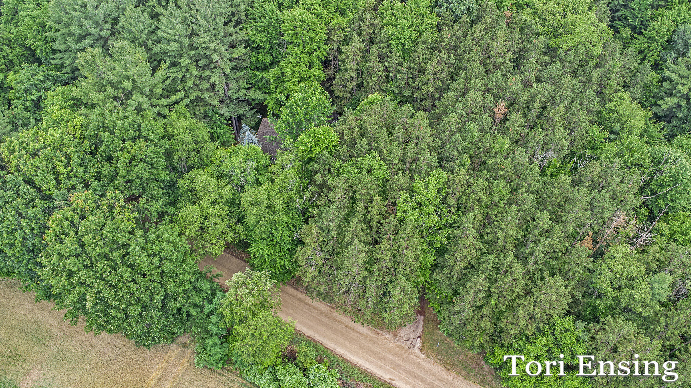 4366 Woods Road Sidney, MI 48885 - Photo 25 of 28 DJI_0028