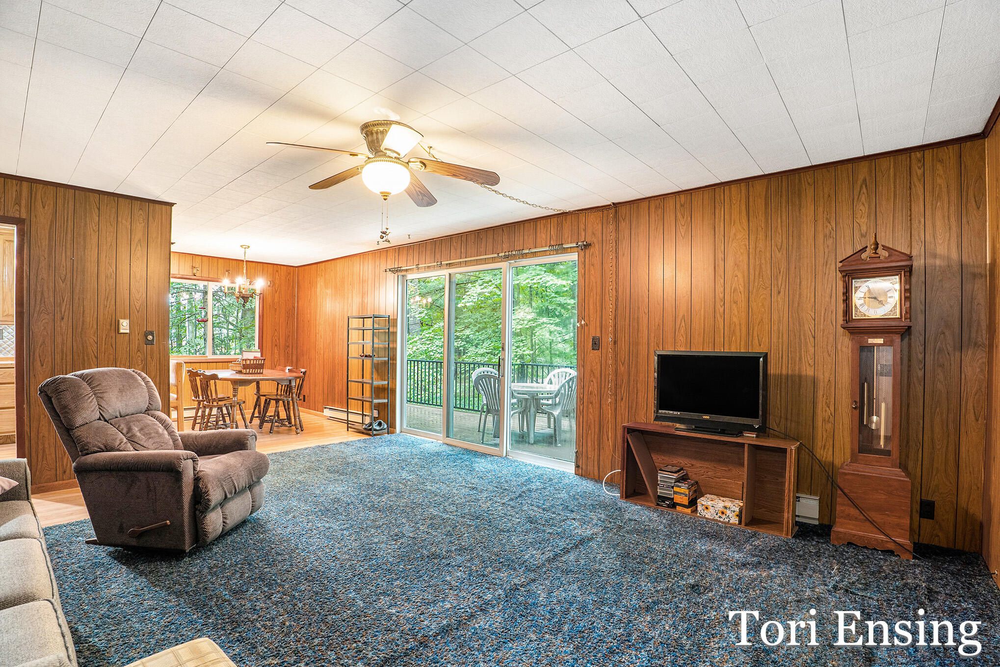 4366 Woods Road Sidney, MI 48885 - Photo 10 of 28 woods-23
