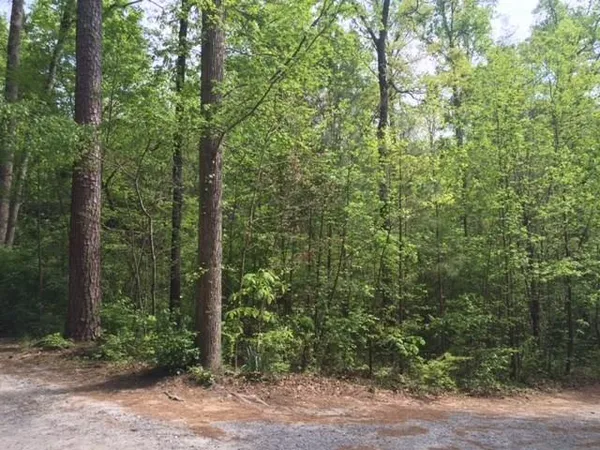 $19,900 | .44-ac 44ac Indian Forest Road, Jasper, GA 30143