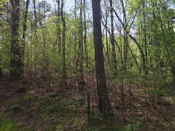$19,900 | .44-ac 44ac Indian Forest Road, Jasper, GA 30143