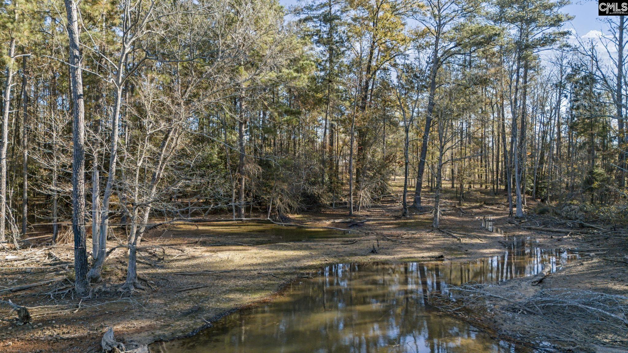 0 Navigator Trail Prosperity, SC 29127 - Photo 12 of 29