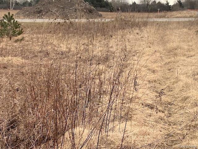 871 Range Road Smiths Creek, MI 48074 - Photo 5 of 6