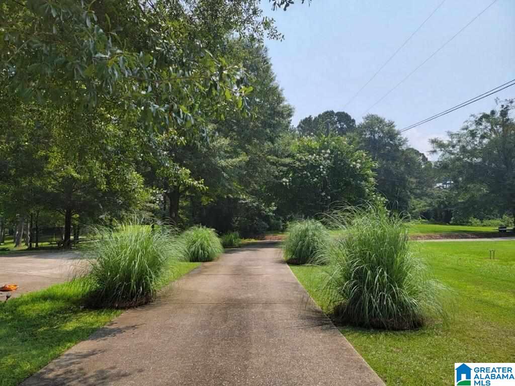 425 Rabbit Point Road Cropwell, AL 35054 - Photo 44 of 47