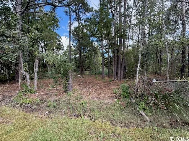 $39,900 | Tbd Martin Street, Georgetown, SC 29440