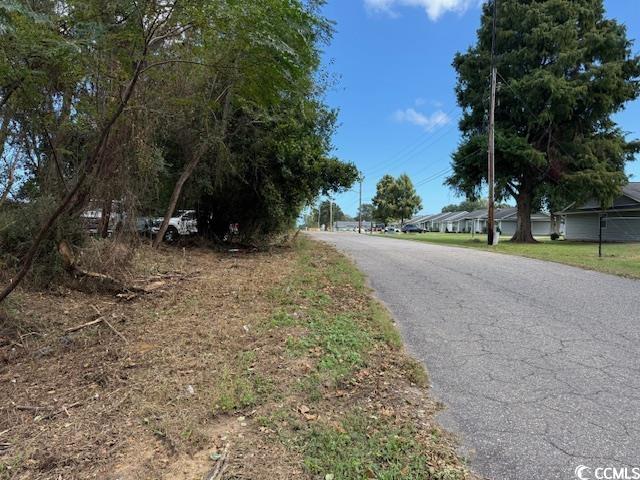 Tbd Martin Street Georgetown, SC 29440 - Photo 3 of 3 View of asphalt street