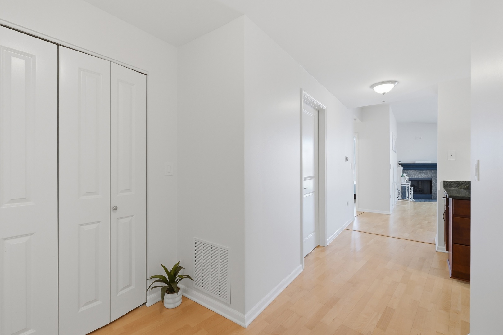 1228 Emerson Street, Unit 304 Evanston, IL 60201 - Photo 3 of 28