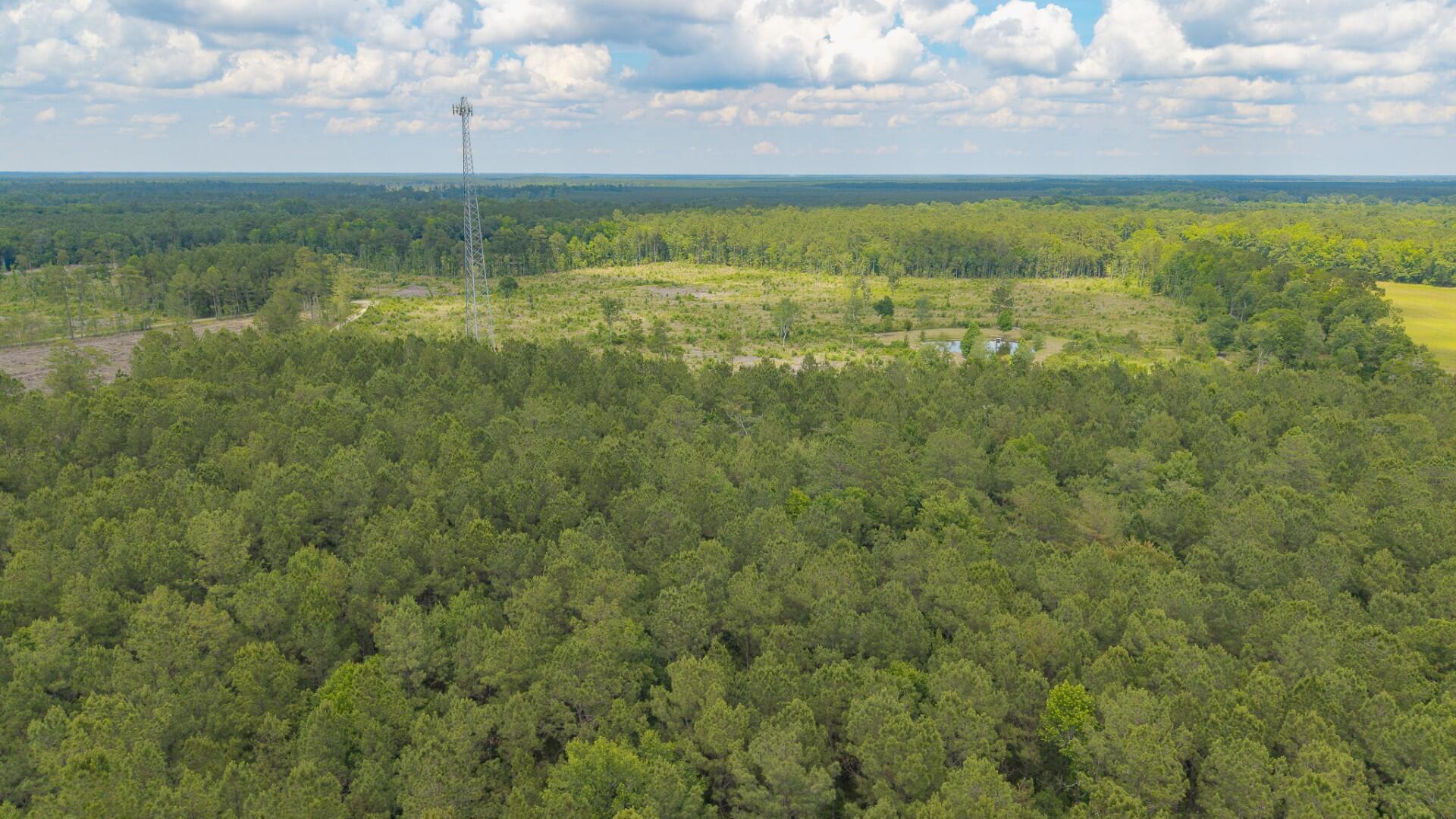 6222 Saints Delight Road, Unit LOT 8 Georgetown, SC 29440 - Photo 23 of 26