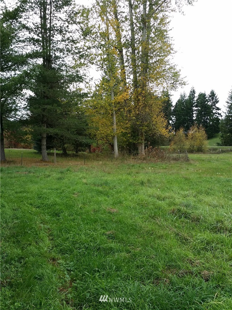13604 Solberg Road Southeast Yelm, WA 98597 - Photo 3 of 7 Gallery Image 3