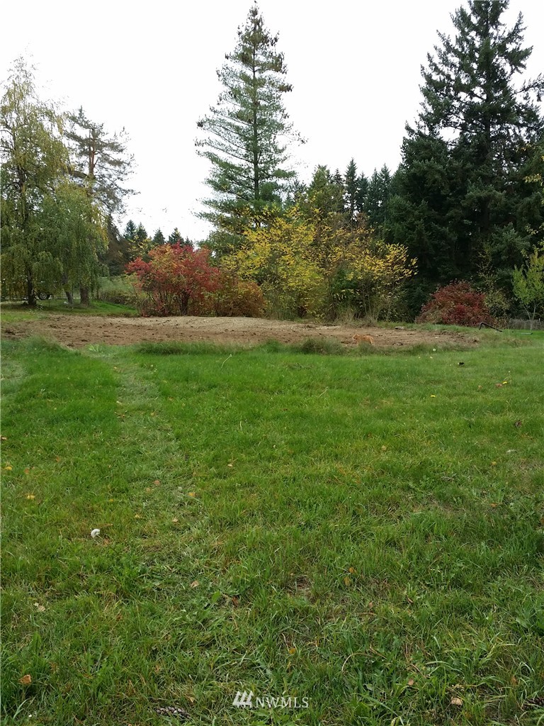 13604 Solberg Road Southeast Yelm, WA 98597 - Photo 6 of 7 Gallery Image 6