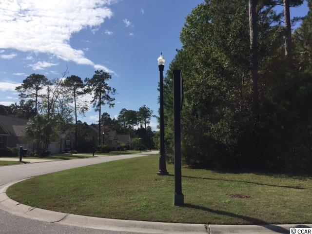 97 Summerlight Drive Murrells Inlet, SC 29576 - Photo 3 of 10 Gallery Image 3