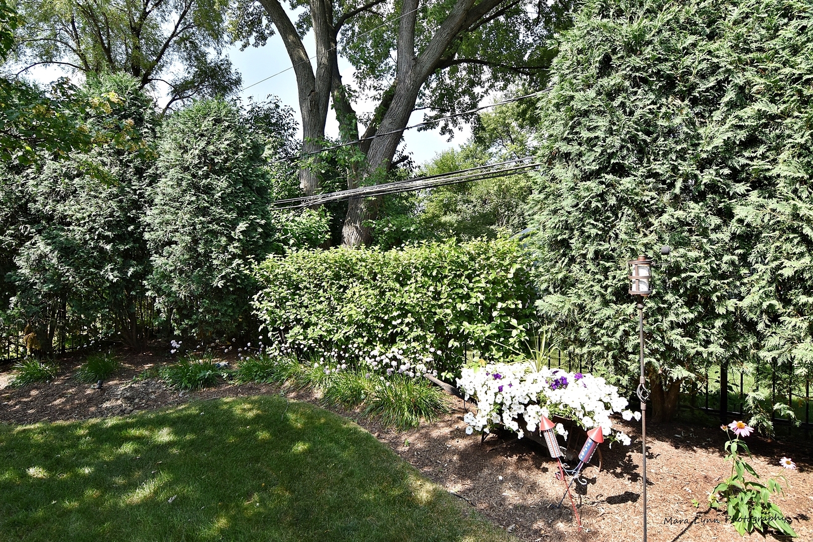 1914 North Ridge Avenue Arlington Heights, IL 60004 - Photo 46 of 50 a view of a garden with plants