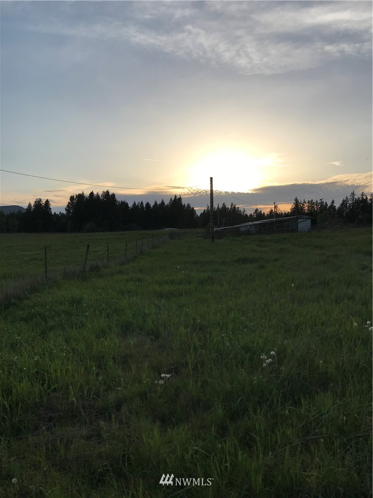 16239 Reichel Road Southeast Rainier, WA 98576 - Photo 8 of 10 Gallery Image 8