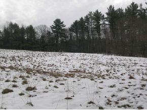 117 Highland Road Springfield, VT 05156 - Photo 10 of 12