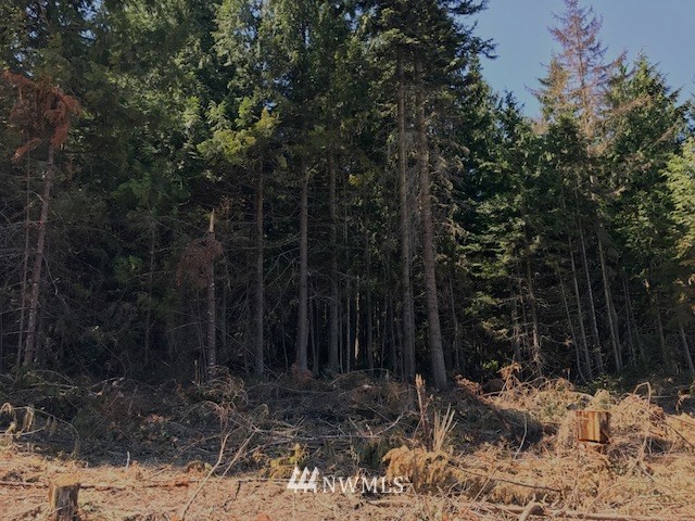 0 East E Highway Sequim, WA 98382 - Photo 12 of 12