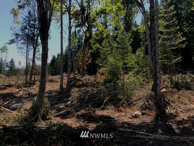 0 East E Highway Sequim, WA 98382 - Photo 9 of 12