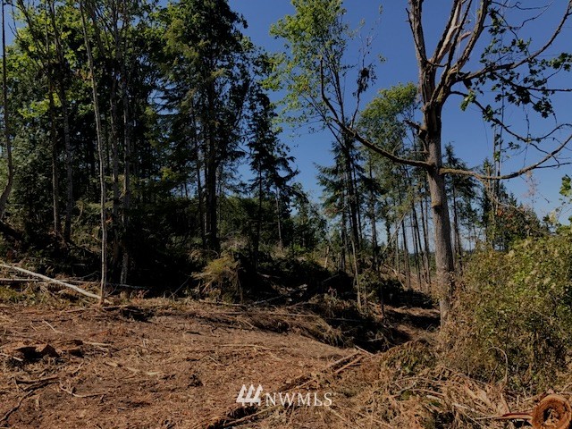 0 East E Highway Sequim, WA 98382 - Photo 10 of 12