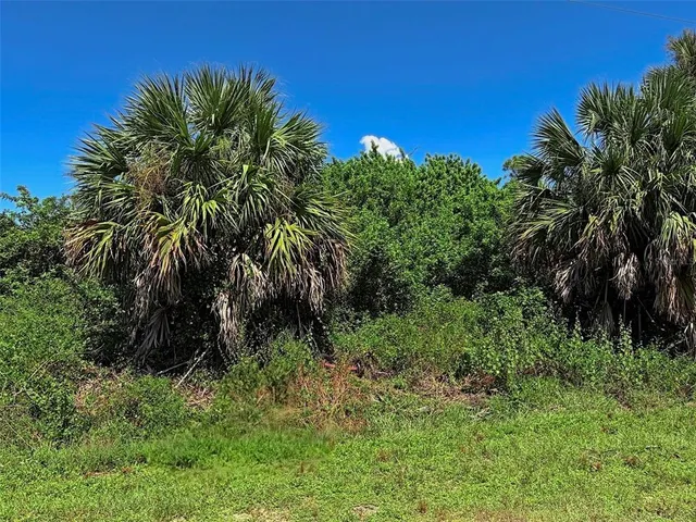 a view of a plant in a garden