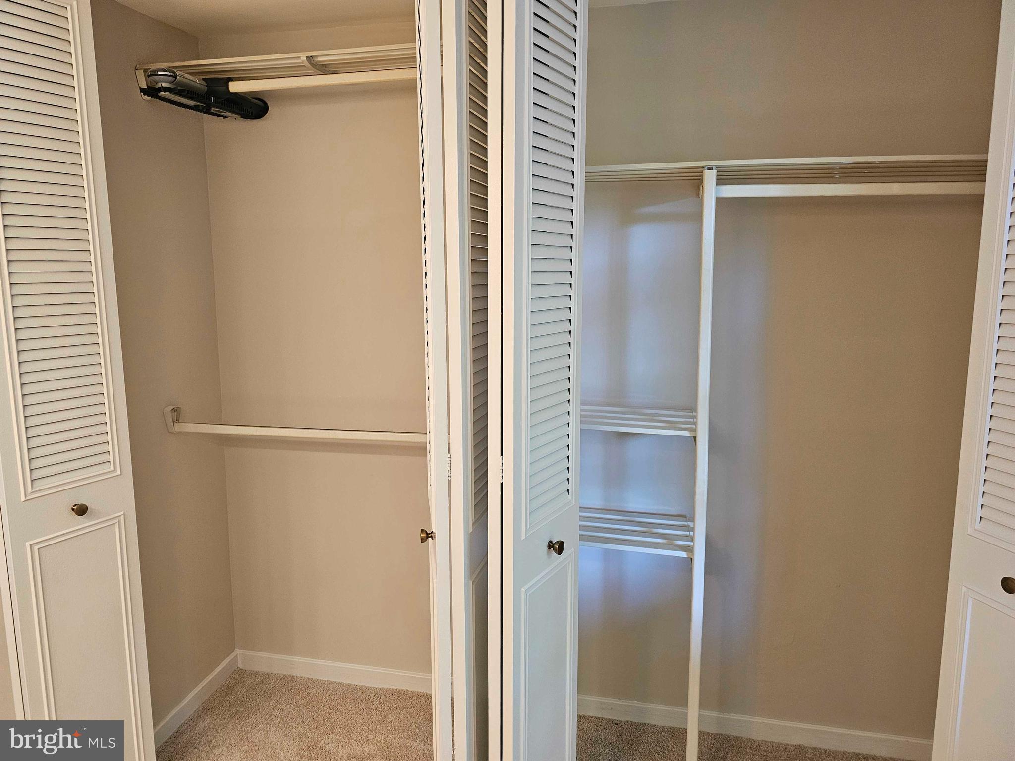 12250 Angel Wing Court Reston, VA 20191 - Photo 24 of 69 Primary bedroom closet system