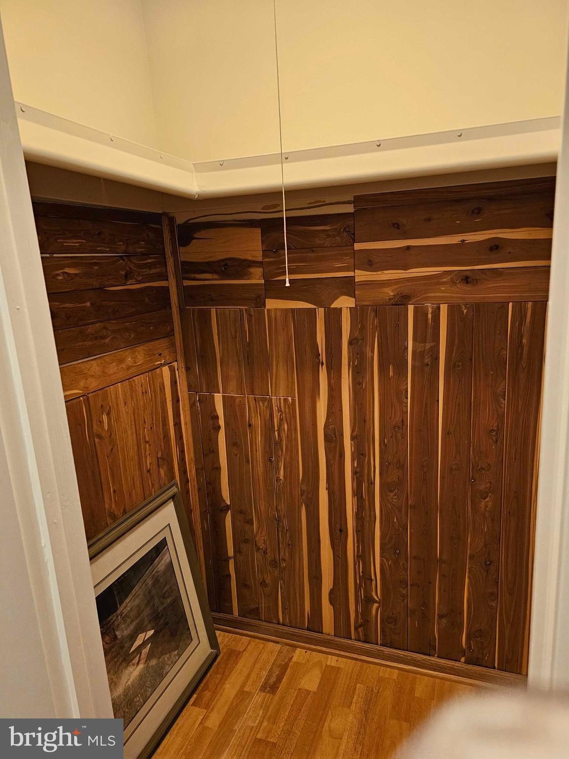 12250 Angel Wing Court Reston, VA 20191 - Photo 41 of 69 Upper level hallway, walk in cedar closet
